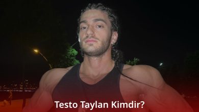 Testo Taylan