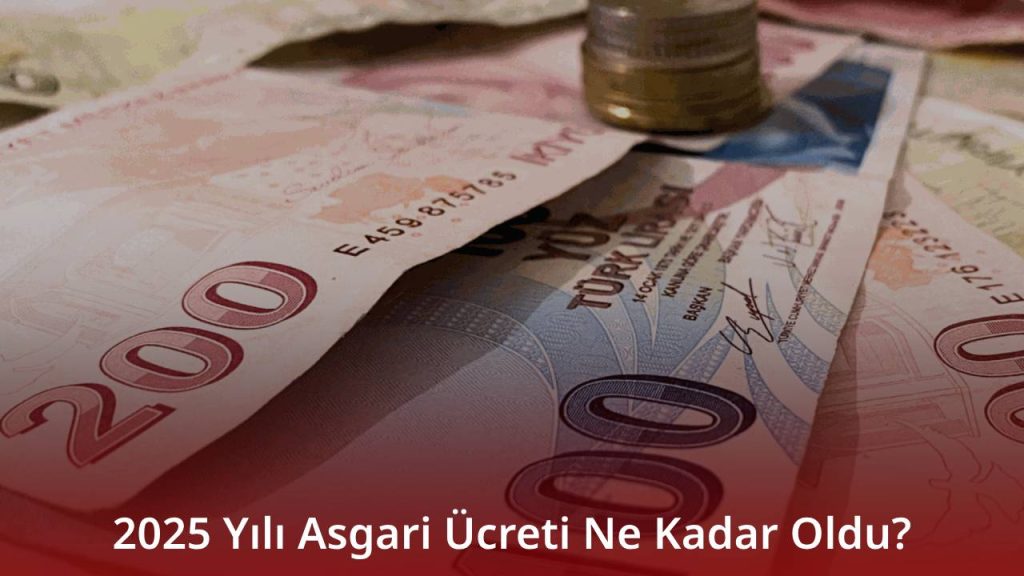 2025 Yılı Asgari Ücreti Ne Kadar Oldu