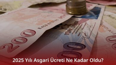 2025 Yılı Asgari Ücreti Ne Kadar Oldu