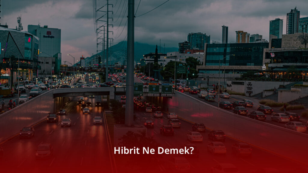 Hibrit Ne Demek?