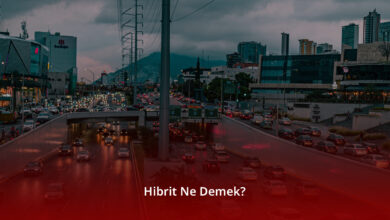 Hibrit Ne Demek