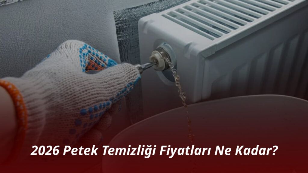 Petek Temizliği Fiyatları 