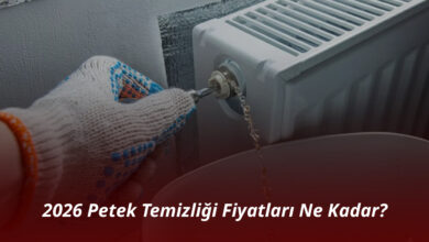 Petek Temizliği Fiyatları
